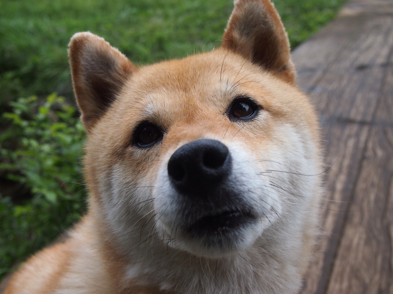 _勇士无限火力,展现三分神威_,无限勇士图片