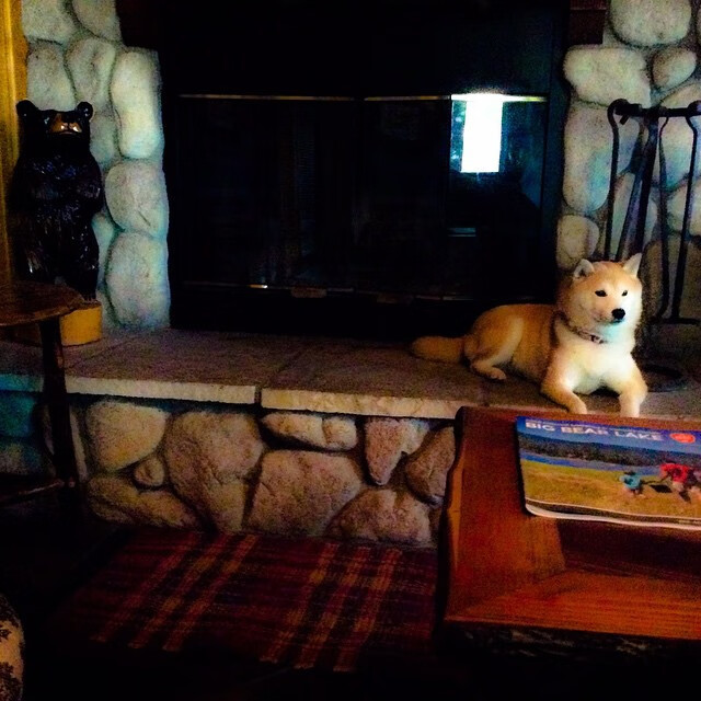 开云官方-意甲联赛中出现多支升班马精彩表现，法甲升班马