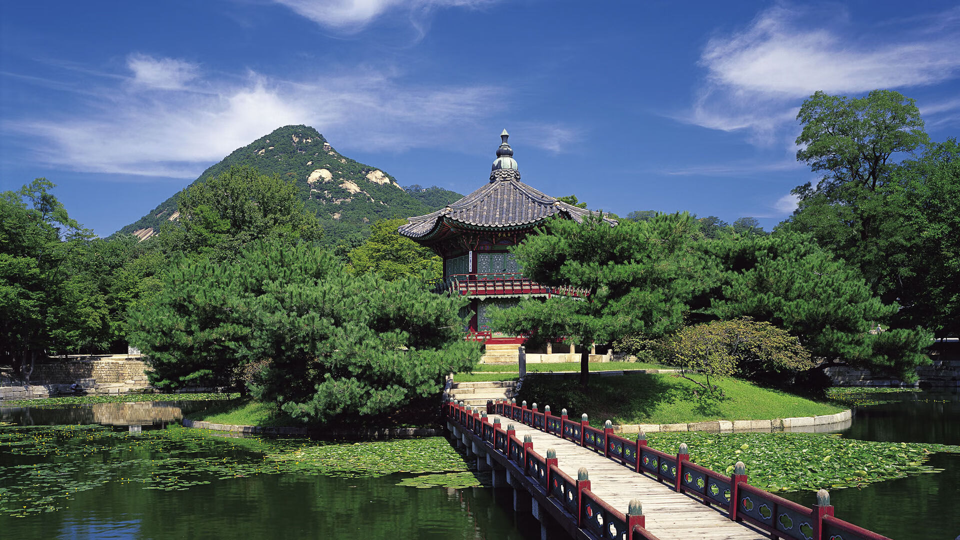 未来智慧场馆“云管理”成为行业标配,基础设施不断升级,智慧场馆解决方案