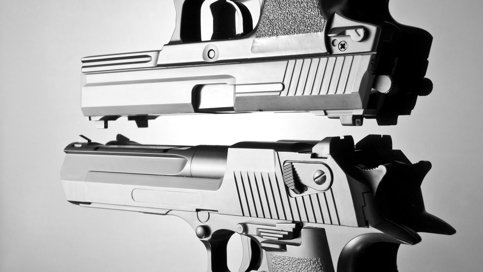 湖人球迷自发制作纪录片《忠于紫金》上线即热播