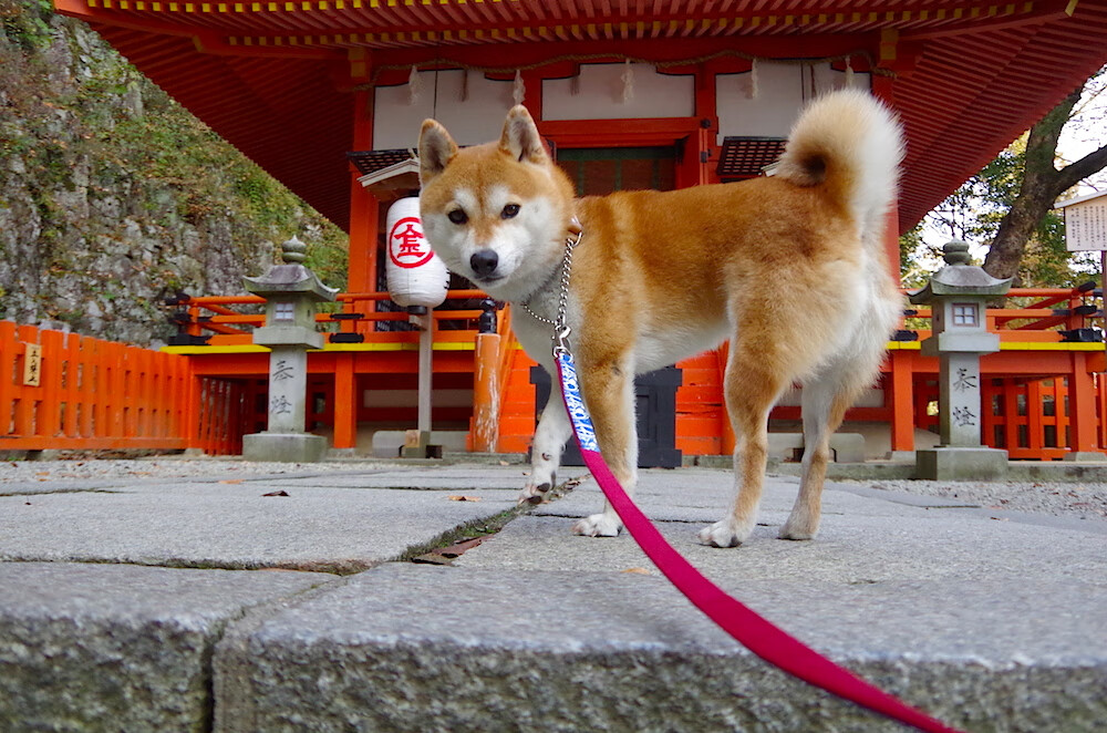 西班牙《马卡报》:瑞士雪地足球开创“极地控球”流派