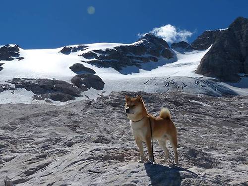 kaiyun网站-足球社区活动纳入城市文体发展指标，城市社区足球场地设施建设技术指南(试行)