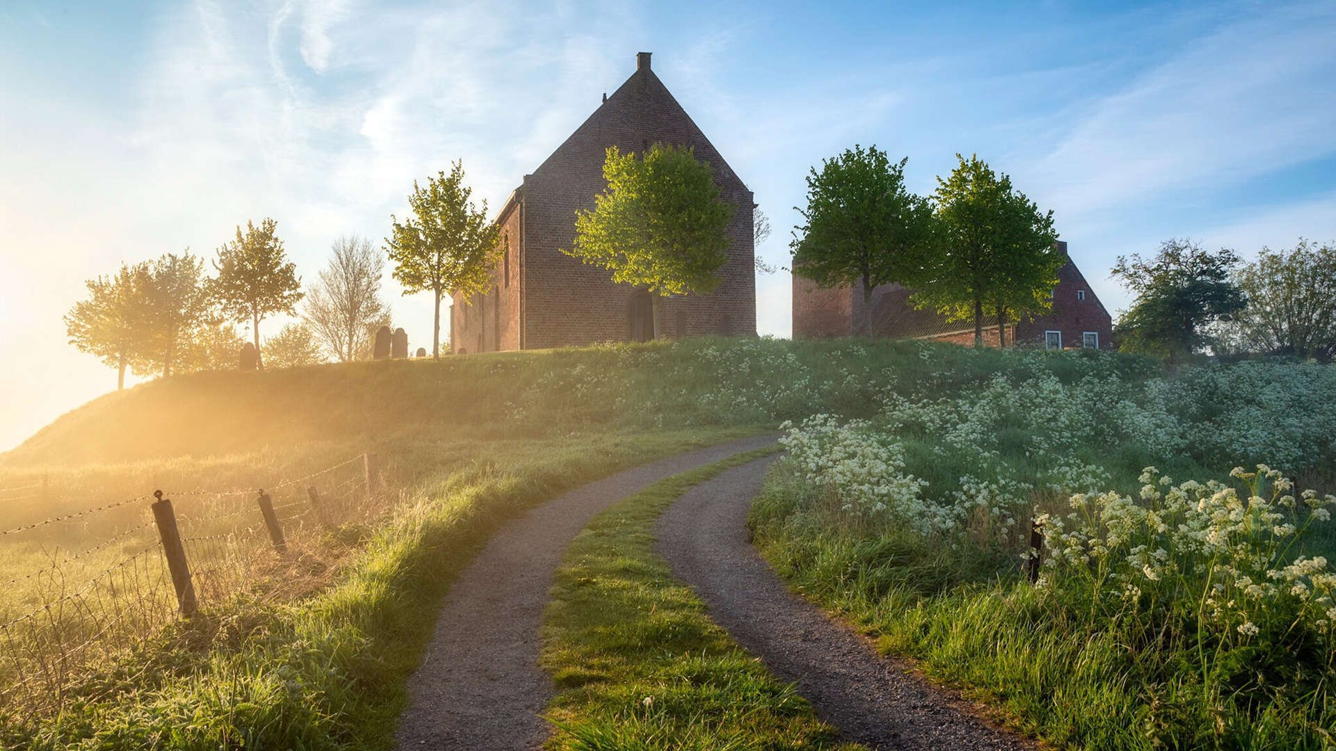 开云·体育官网-公牛队支持本地电竞产业发展，公牛队是啥