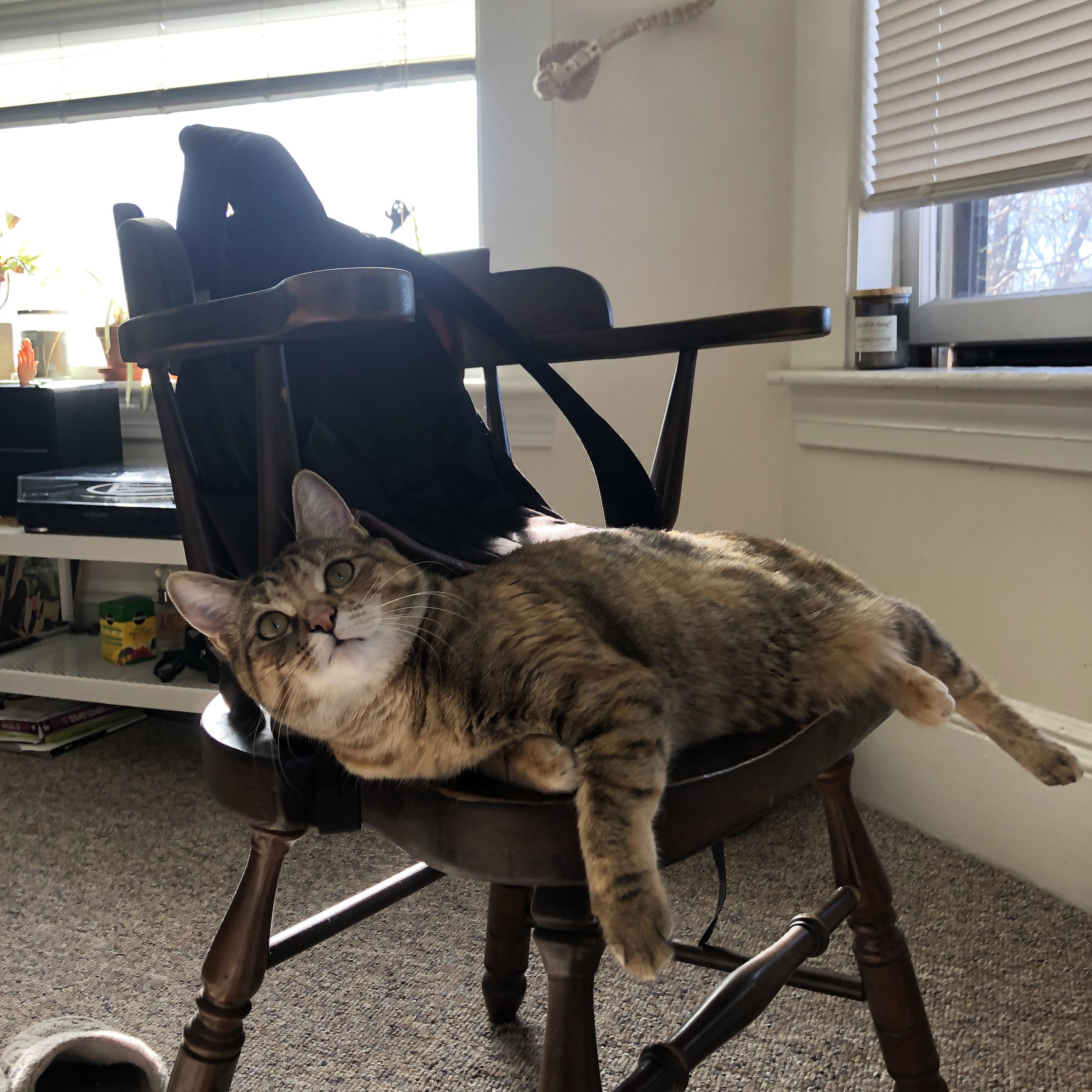 国足力克对手,挺进国际比赛半决赛,国足尽力了