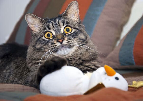 开云体育中国官网-天津泰达客场闷平，积分榜排名继续保持一定竞争力，天津泰达今天比赛时间