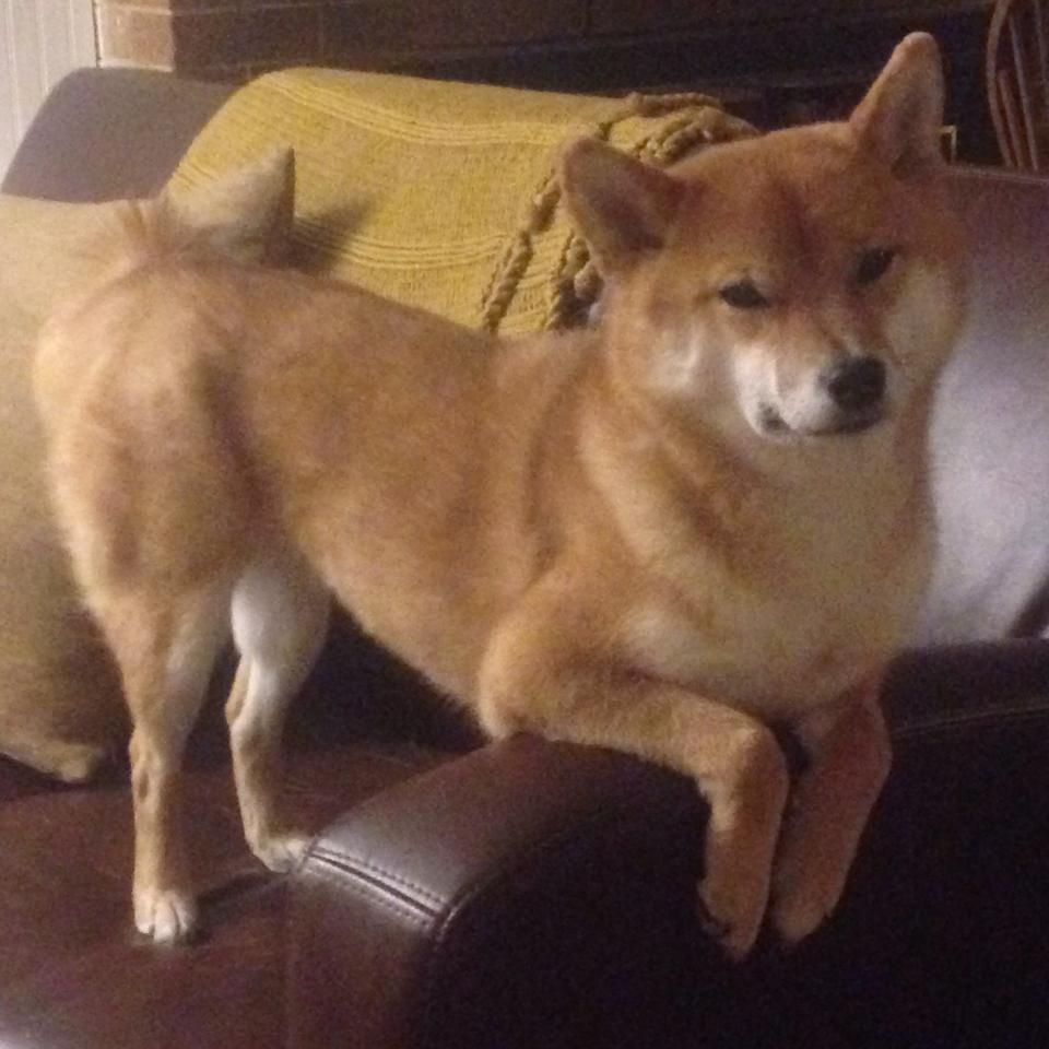 曼城大胜一仗,四强之途漫漫金光灿烂,曼城4-3