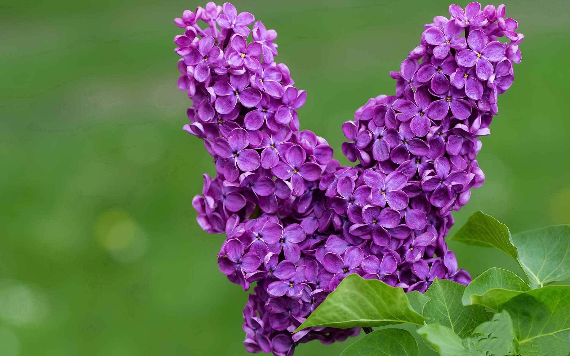 精彩的比赛中球队们展现出无比激情的角逐,精彩的球赛类似的句子