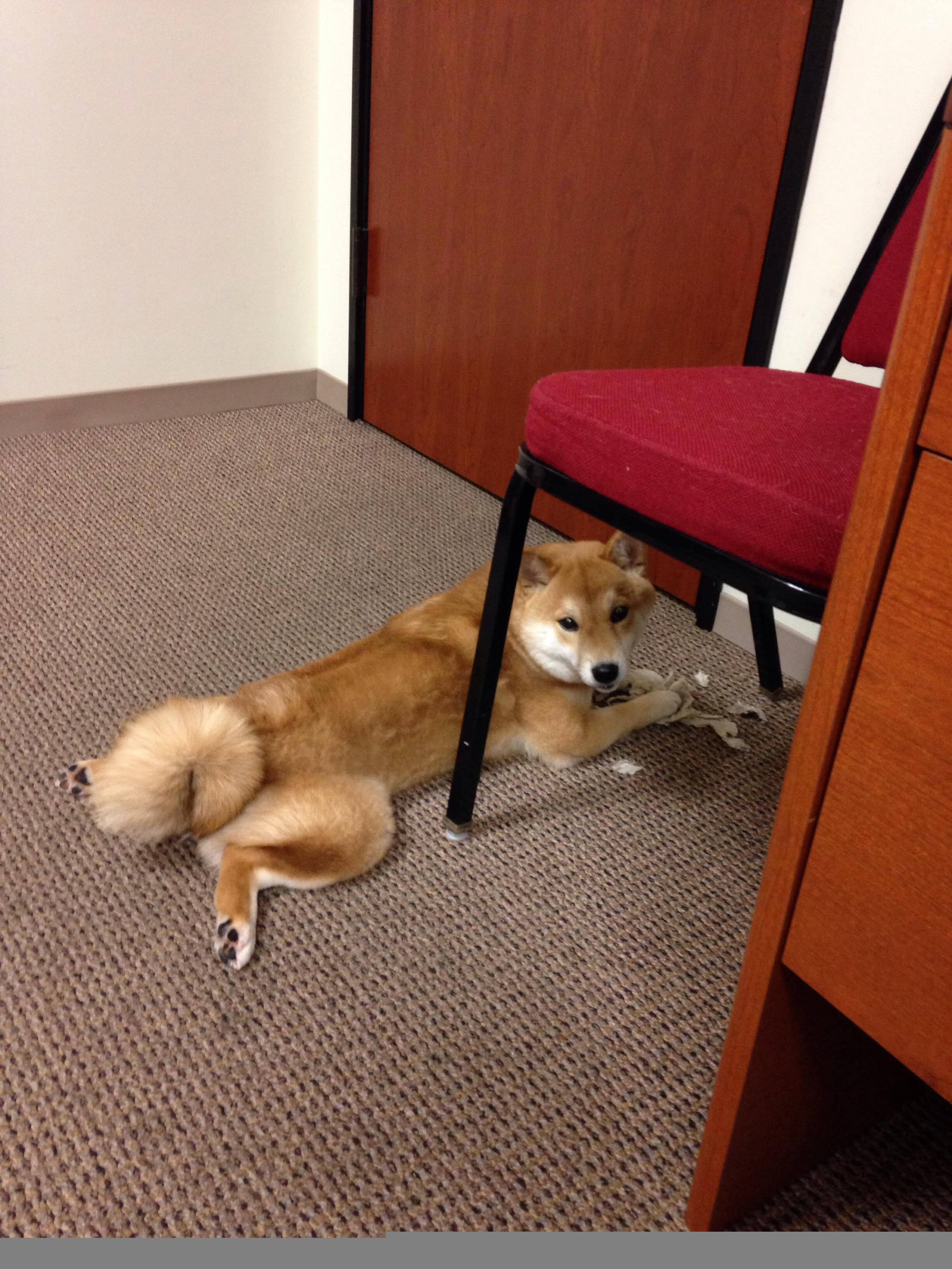 谁能够在激烈的欧洲足球竞技中脱颖而出？，欧洲足球强大