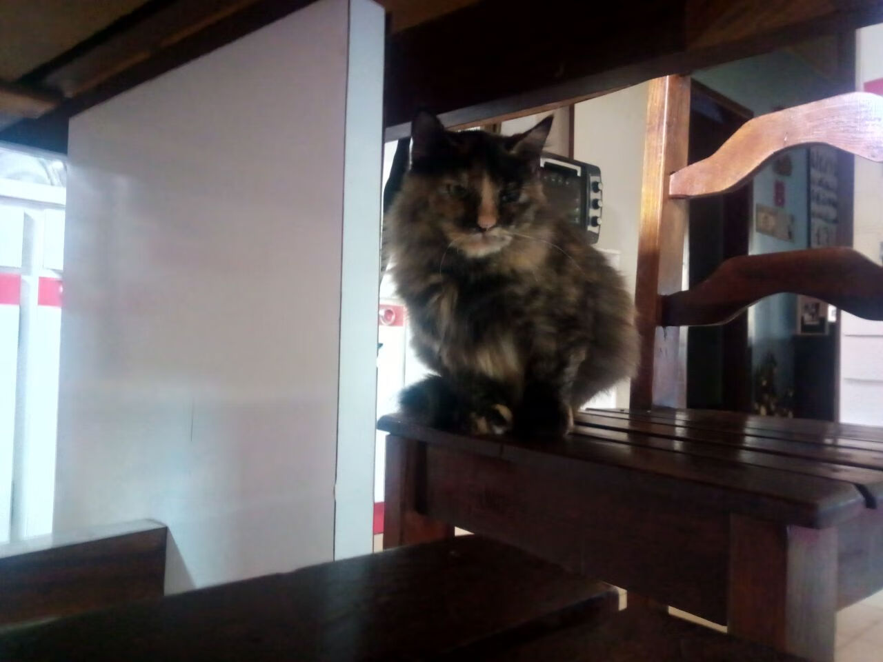 开云APP-奥预赛中国青年队迎战 球迷现场气氛热烈，中国国家青奥队