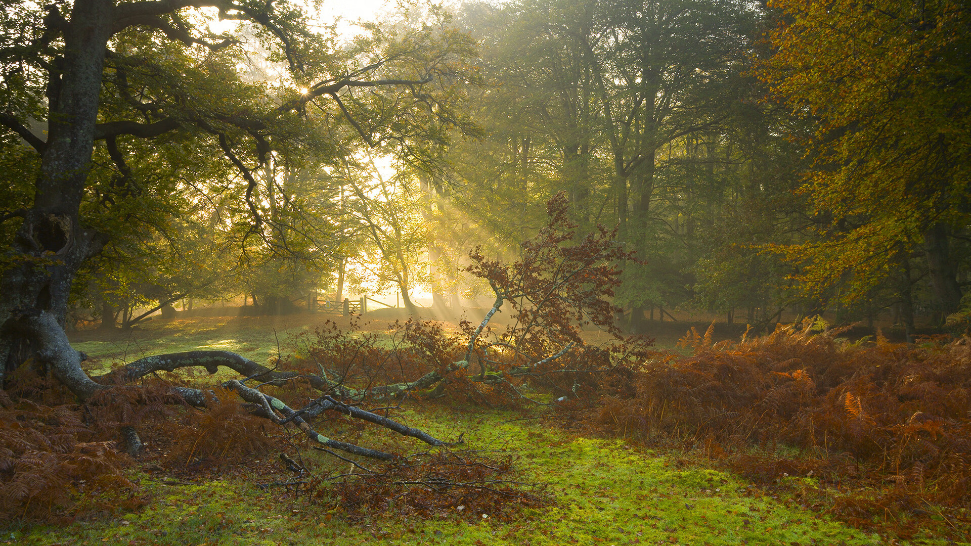 凯莉·麦基翁展现出色心理素质，凯莉麦基翁身高