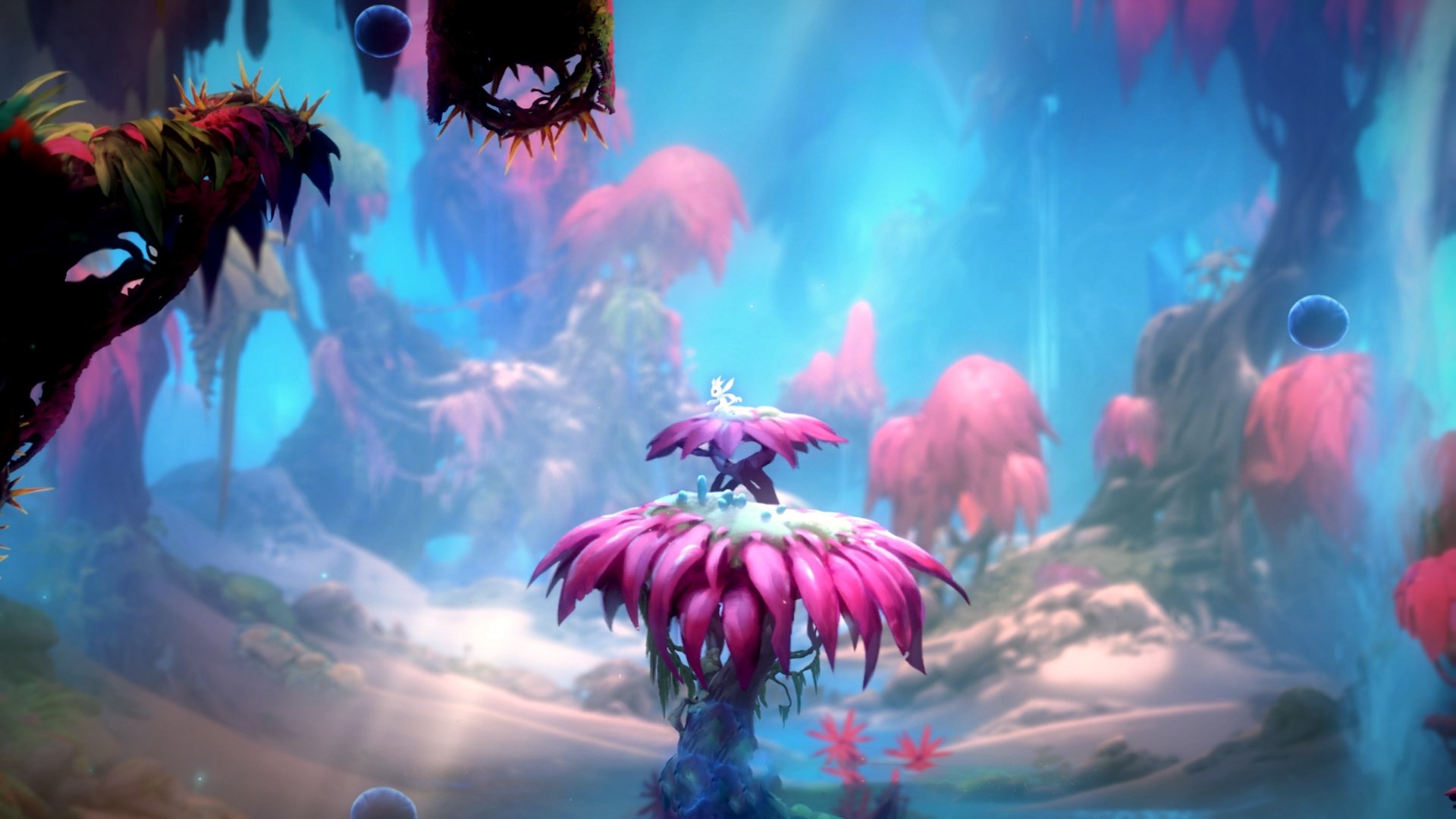 南极洲首次参加国际足球友谊赛,体育合作迈出新步伐,南极洲赛区