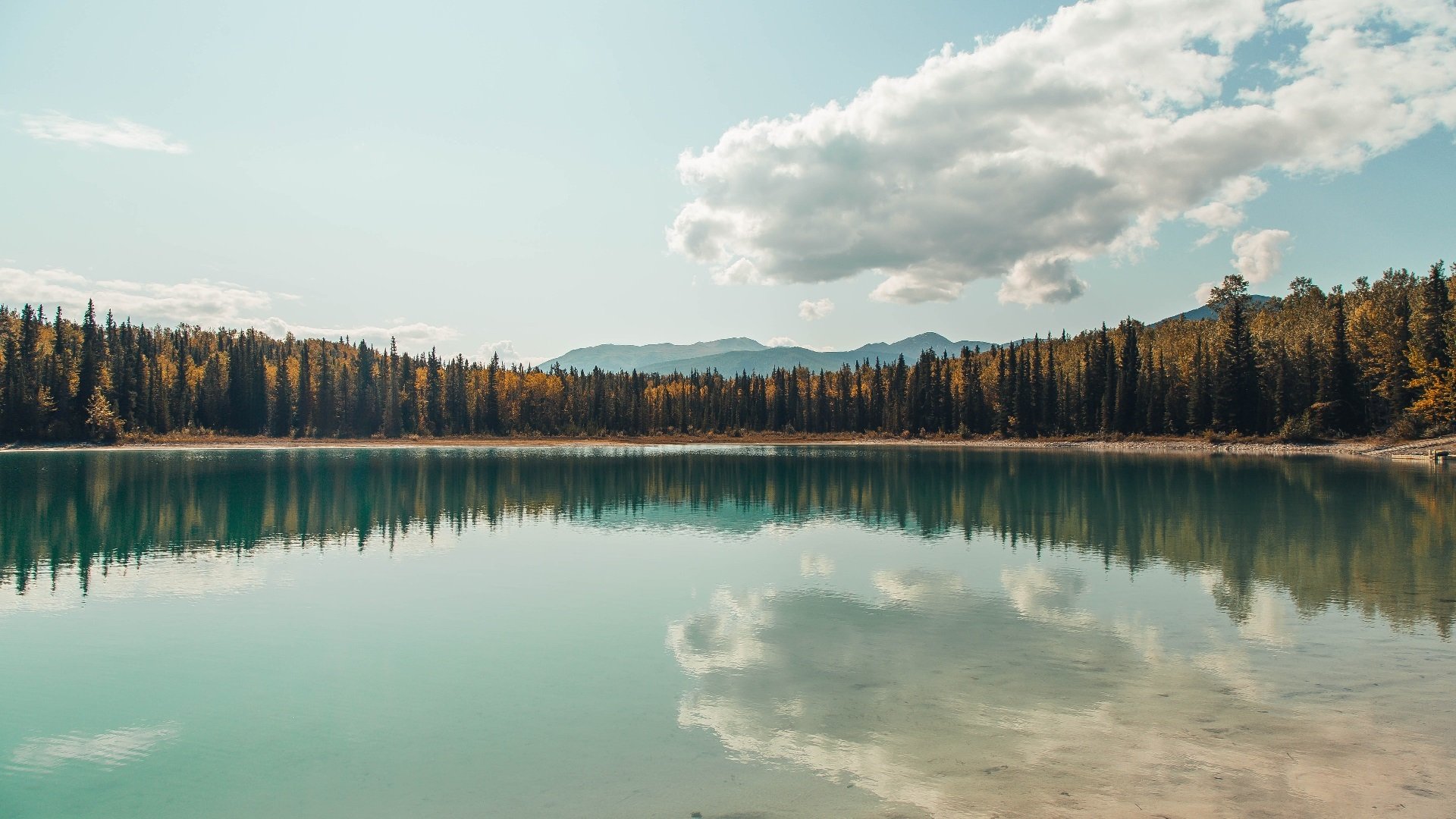 意甲联赛的数字化基础设施升级，意甲 数据