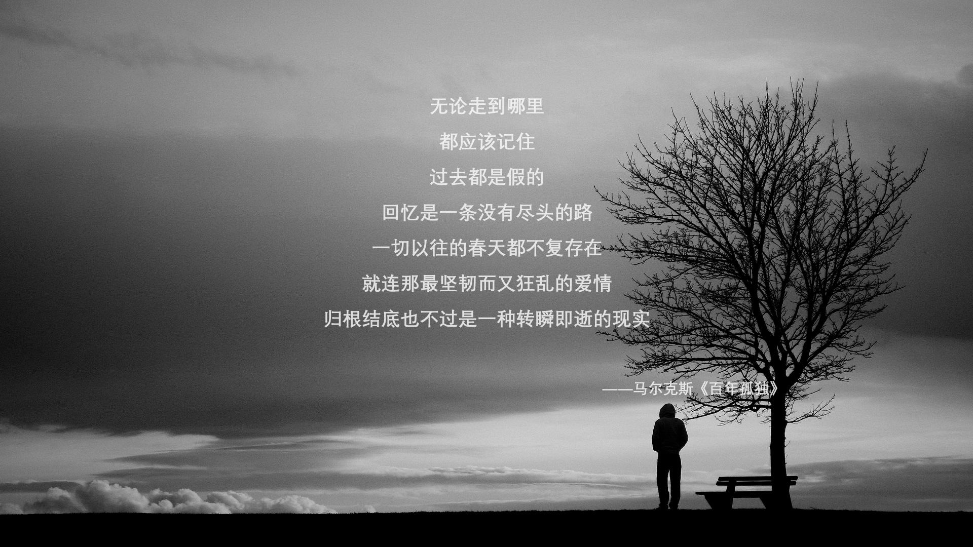 马克·阿特金森：南非队的突破大师，以速度主宰比赛，马克·阿特金斯